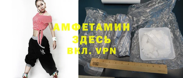 шишки Верея