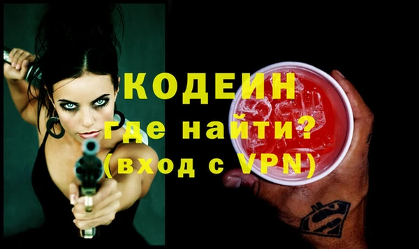 шишки Верея