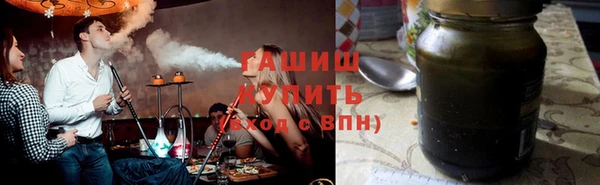 шишки Верея