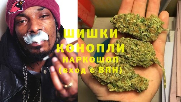 шишки Верея