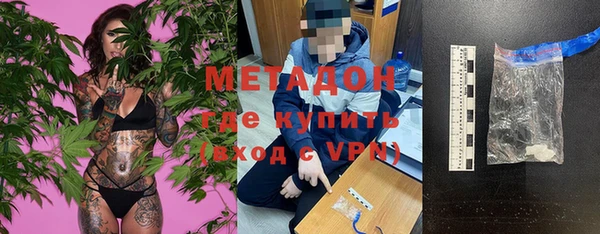 шишки Верея