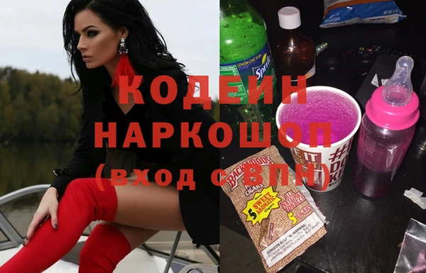 шишки Верея