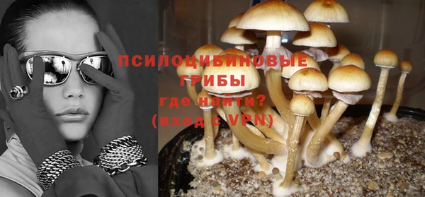 шишки Верея