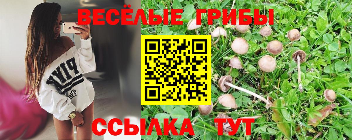 Медногорск  Галлюциногенные грибы Psilocybe  Галлюциногенные грибы GOLDEN TEACHER  Вход с VPN 
